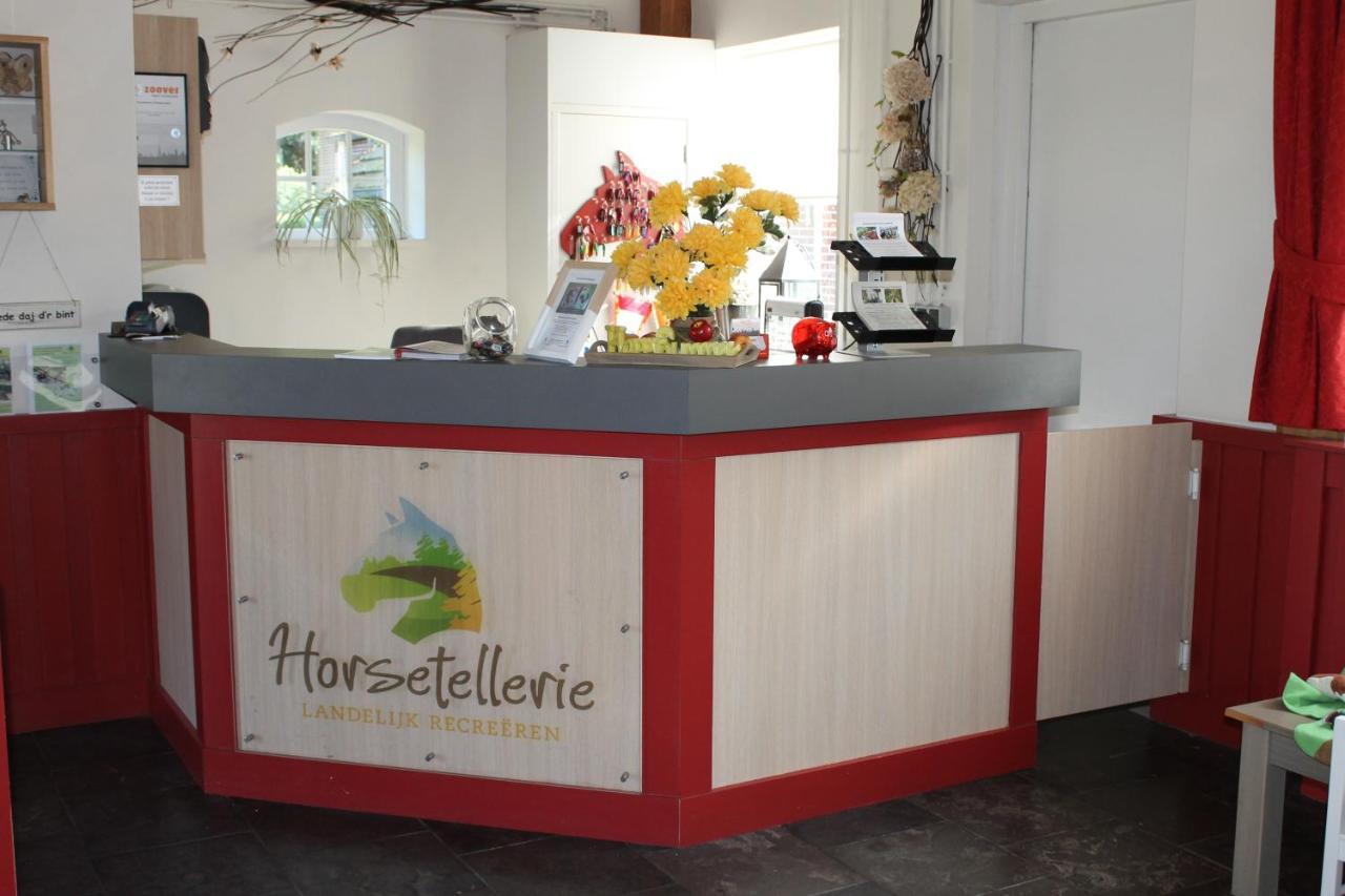 הארדנברך Horsetellerie Rheezerveen מראה חיצוני תמונה