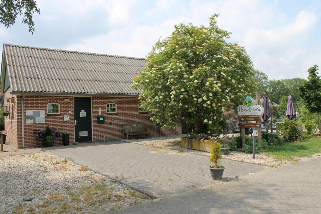הארדנברך Horsetellerie Rheezerveen מראה חיצוני תמונה
