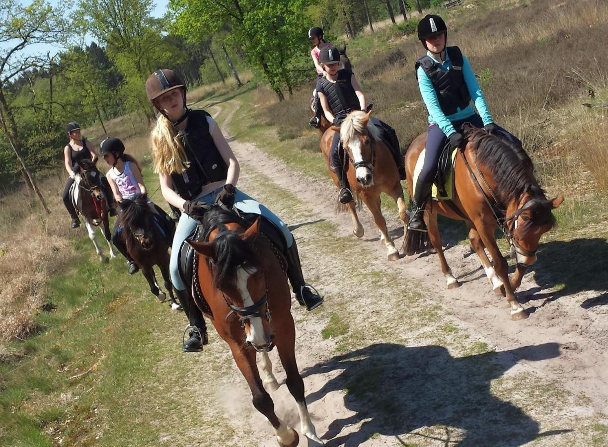 הארדנברך Horsetellerie Rheezerveen מראה חיצוני תמונה